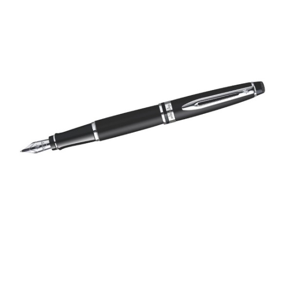 Pióro wieczne Waterman (czarny mat)S0951840