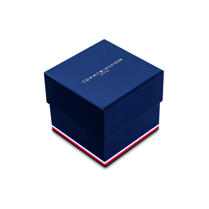 Zegarek męski Tommy Hilfiger 1710619